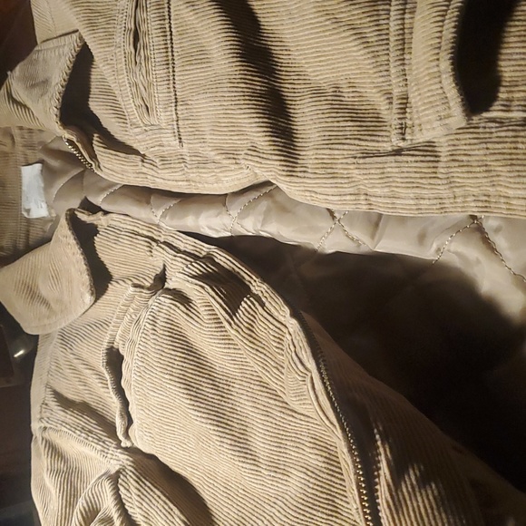 Corduroy zip up jacket - Picture 4 of 4